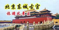 日本大码亚洲老熟女双渗透嚎叫中国北京-东城古宫旅游风景区